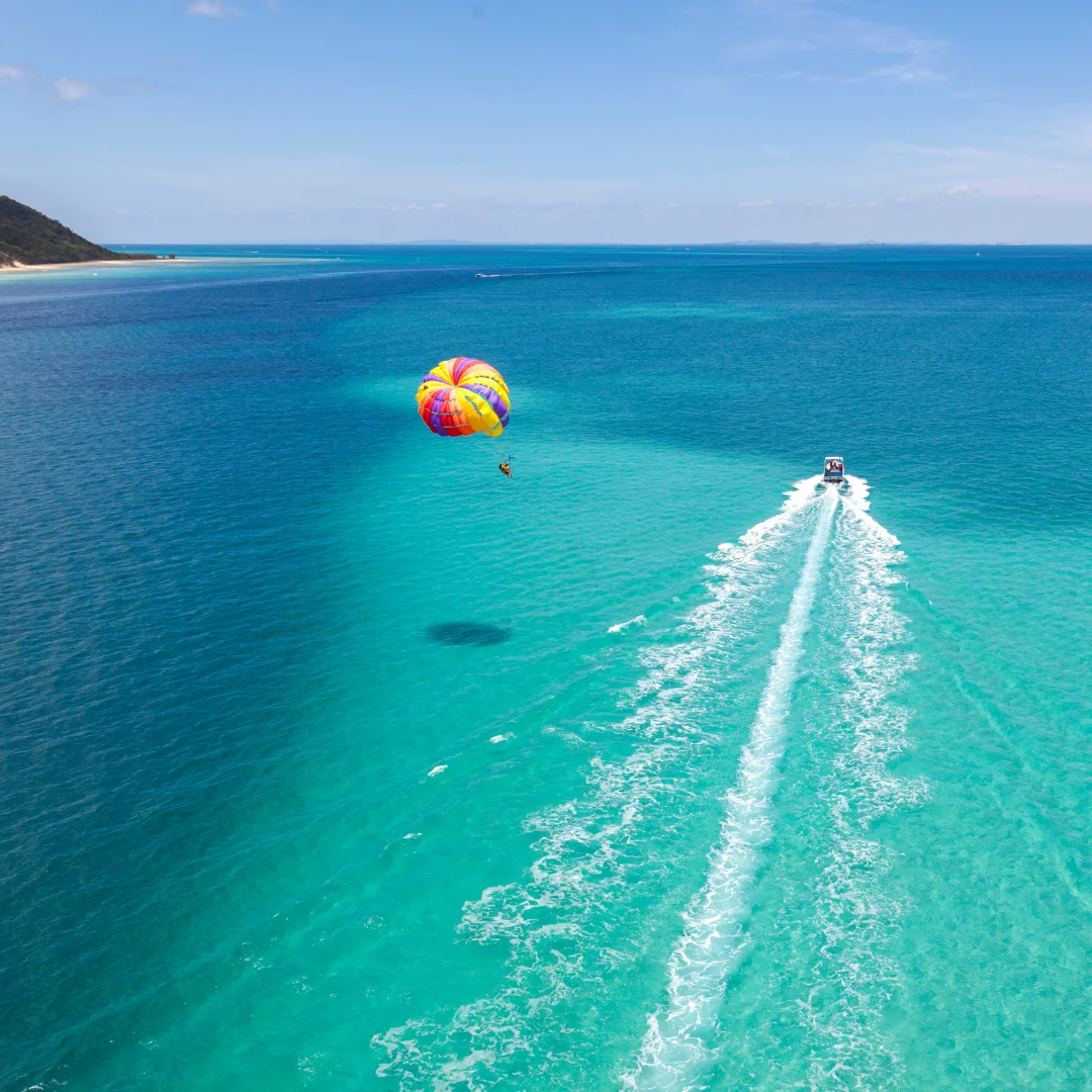 Animal Sanctuary & Parasail